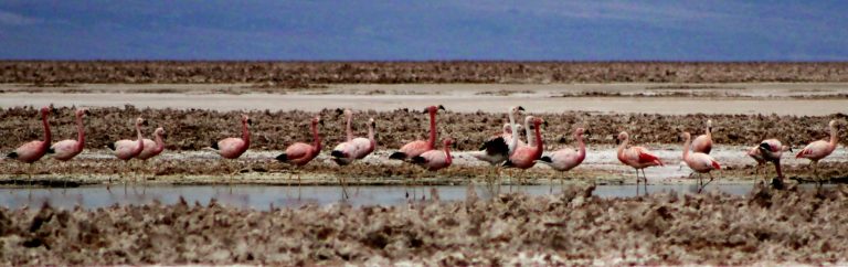 DESCUBRE CHILE: VACACIONES ECONÓMICAS Y MEMORABLES EN INVIERNO